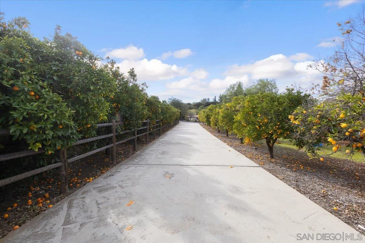 1379 Sunny Heights Road Fallbrook, CA 92028 - Photo 54 of 64 a view of backyard with green space