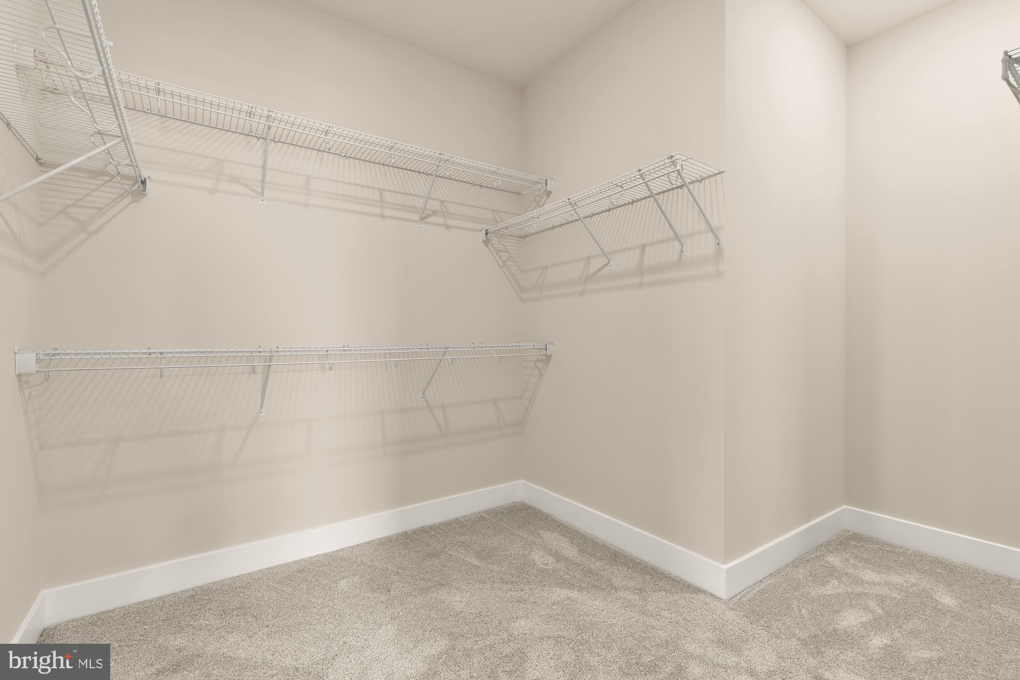 7964 Potter Place, Unit B Elkridge, MD 21075 - Photo 15 of 25 Primary Closet