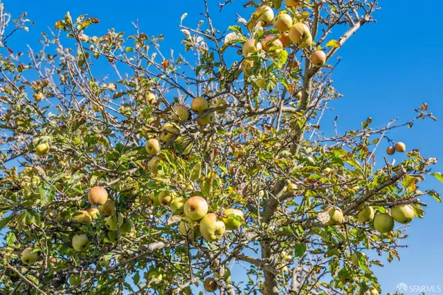 $1,595,000 | 1850 23rd Avenue, San Francisco, CA 94122