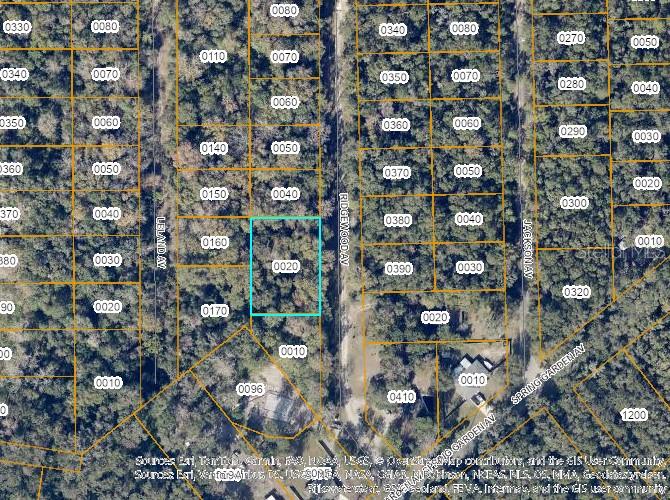 Tbd Ridgewood Avenue De Leon Springs, FL 32130 - Photo 3 of 3 Gallery Image 3