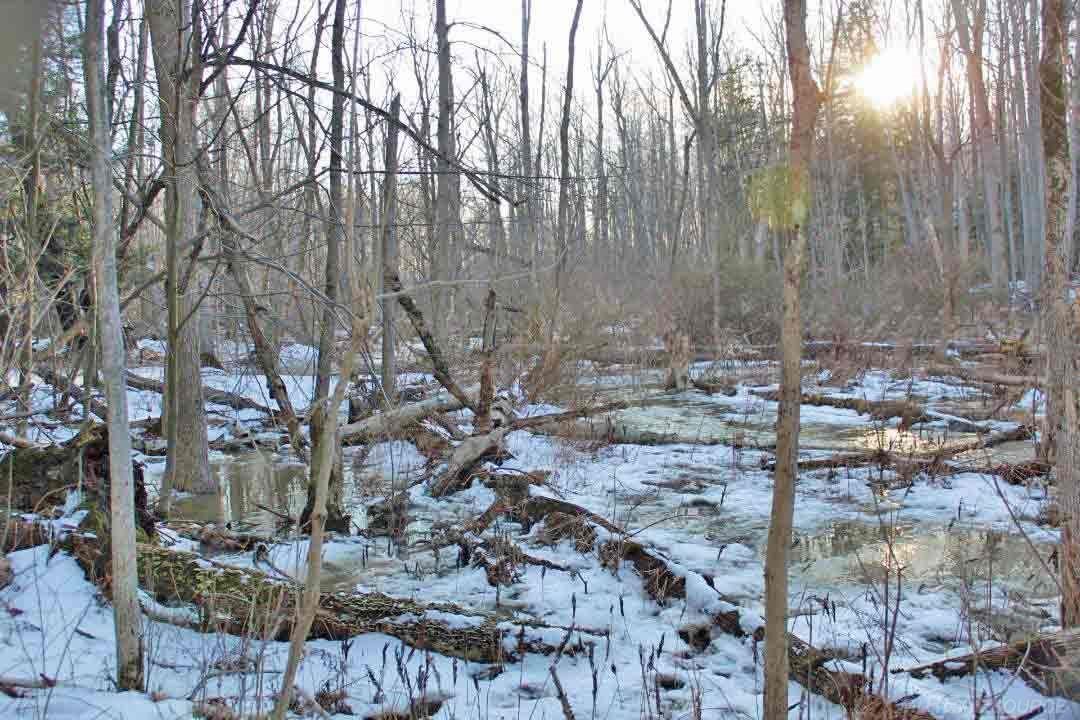 0 North Ridge Road Carsonville, MI 48419 - Photo 3 of 4