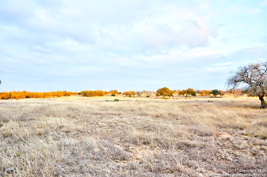 -- Oryx View Drive Harper, TX 78631 - Photo 3 of 19