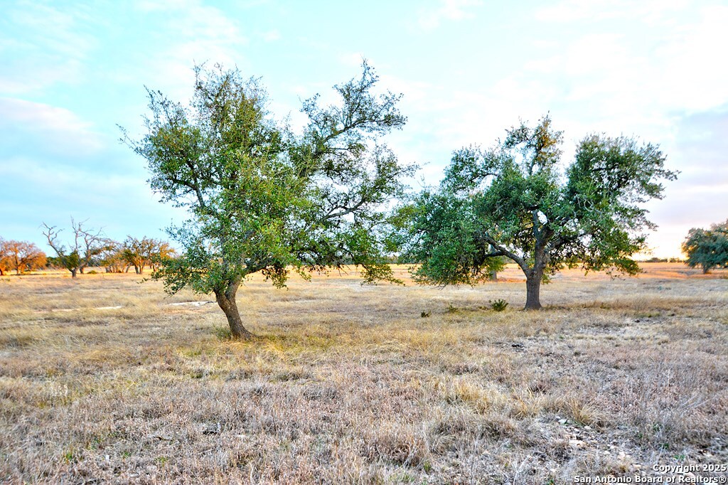-- Oryx View Drive Harper, TX 78631 - Photo 4 of 19
