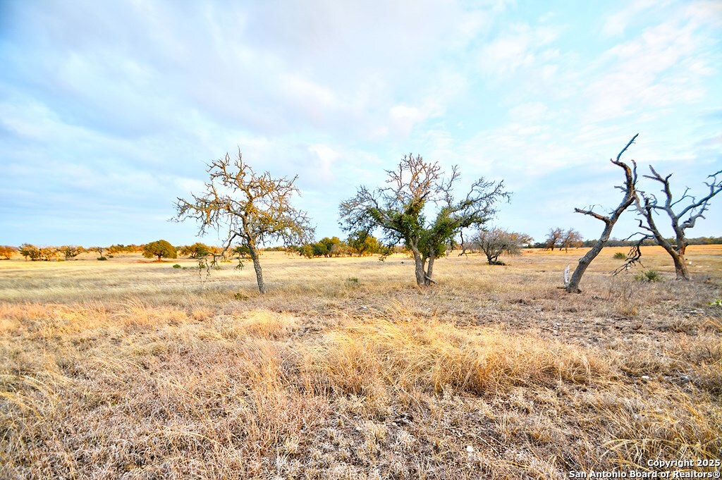 -- Oryx View Drive Harper, TX 78631 - Photo 5 of 19