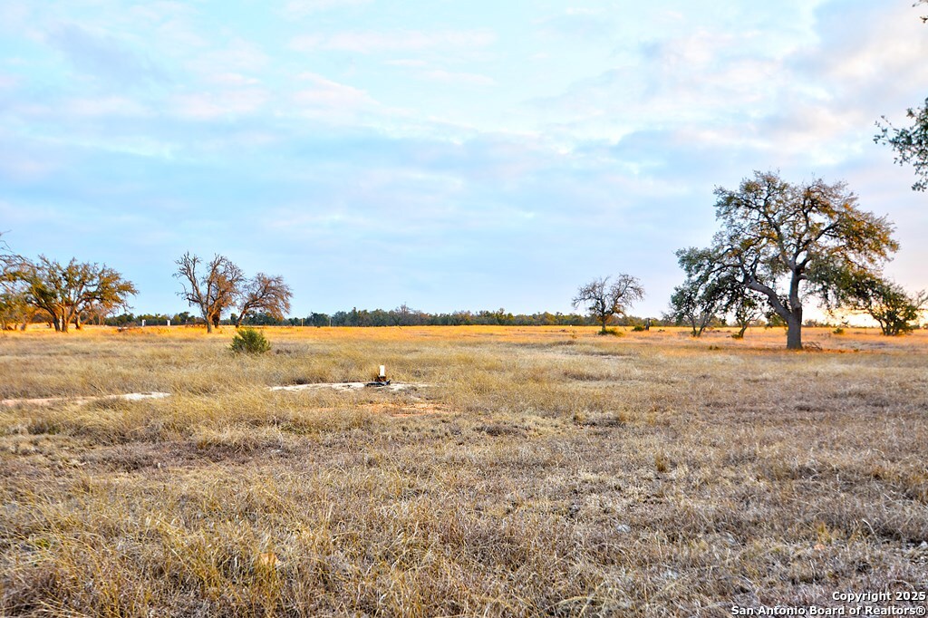 -- Oryx View Drive Harper, TX 78631 - Photo 6 of 19