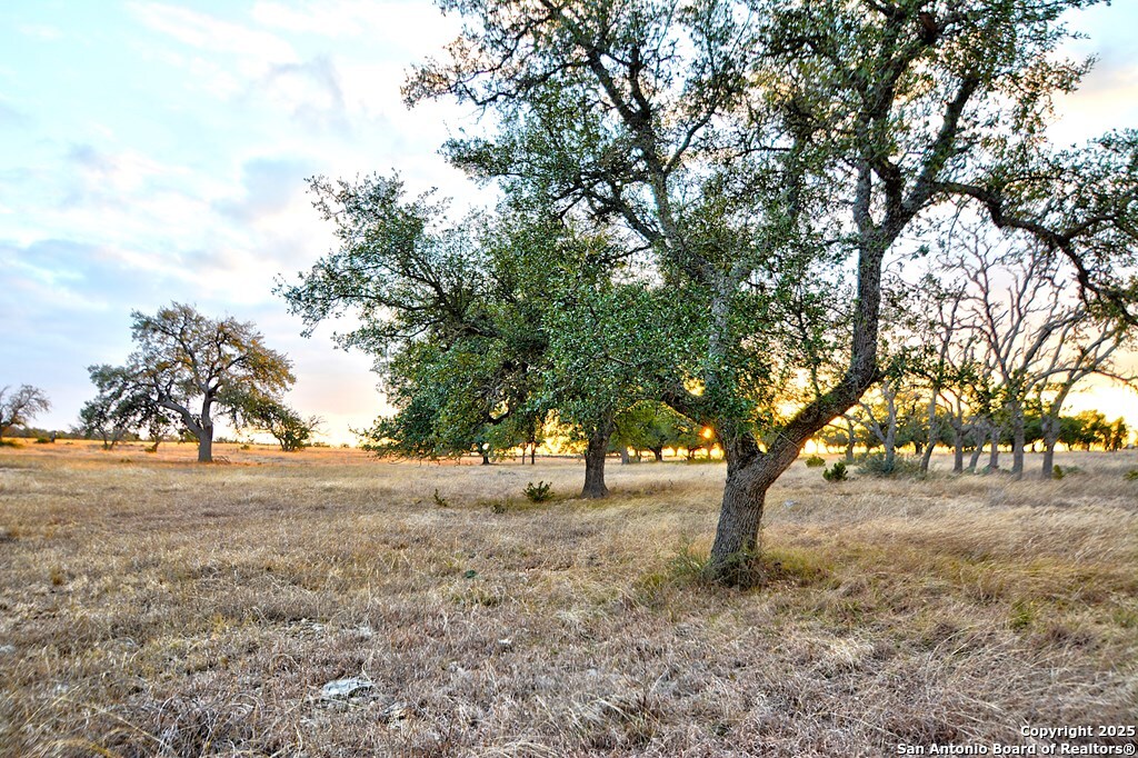 -- Oryx View Drive Harper, TX 78631 - Photo 7 of 19