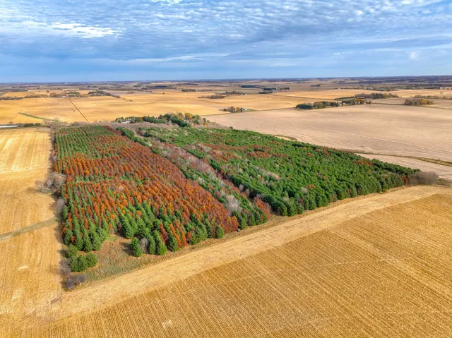 $150,000 | Xxx Lot#23 Xxx Avenue, Hammond, WI 54015