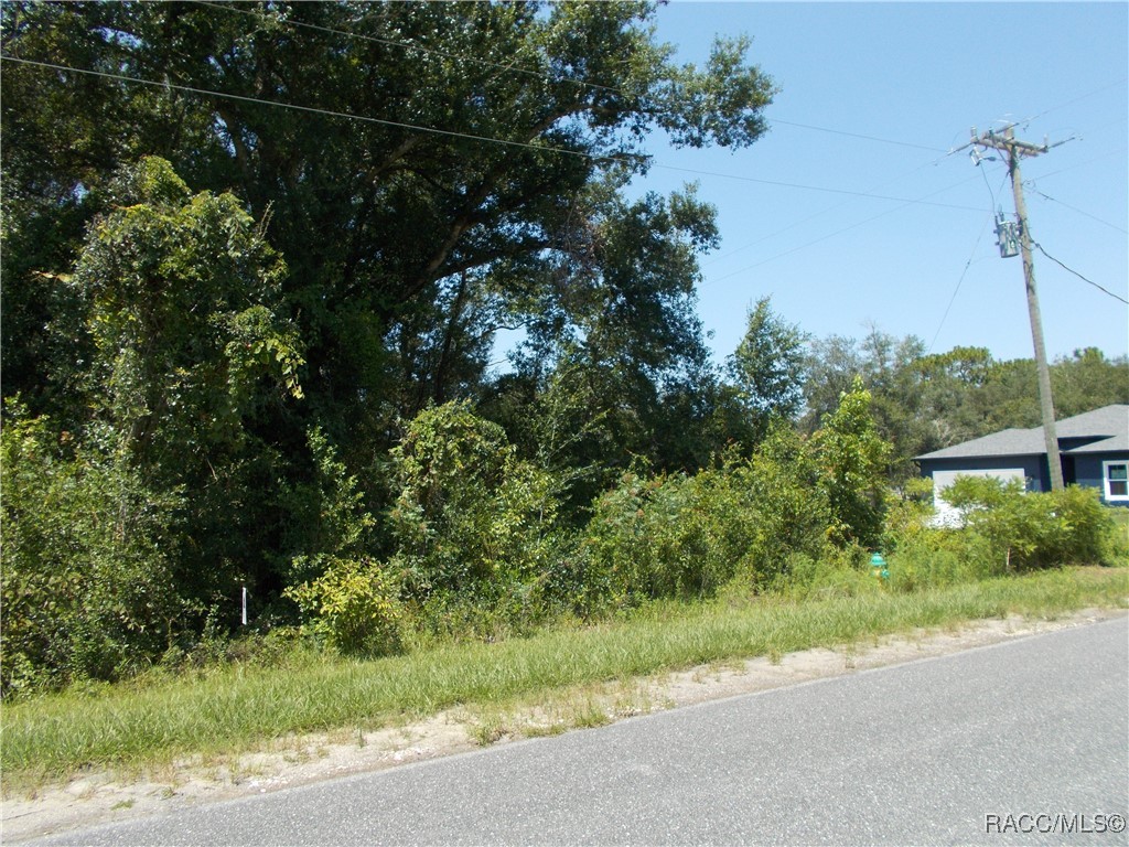 1964 East Celina Street Inverness, FL 34453 - Photo 2 of 9