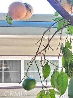 18151 Valley Boulevard, Unit 55 La Puente, CA 91744 - Photo 12 of 38 a close view of light fixtures