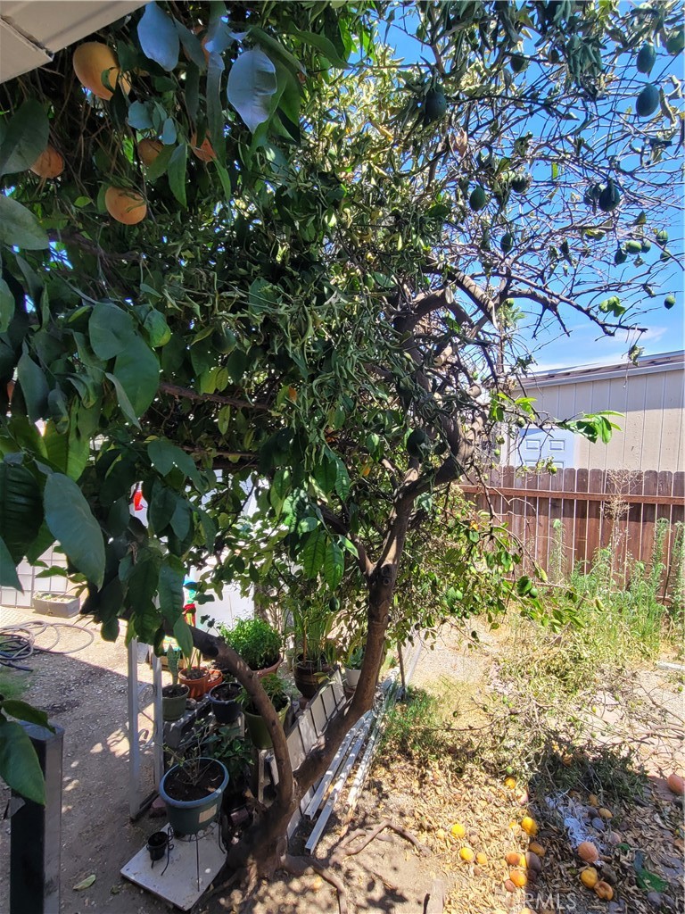 18151 Valley Boulevard, Unit 55 La Puente, CA 91744 - Photo 9 of 38 a backyard of a house with lots of green space