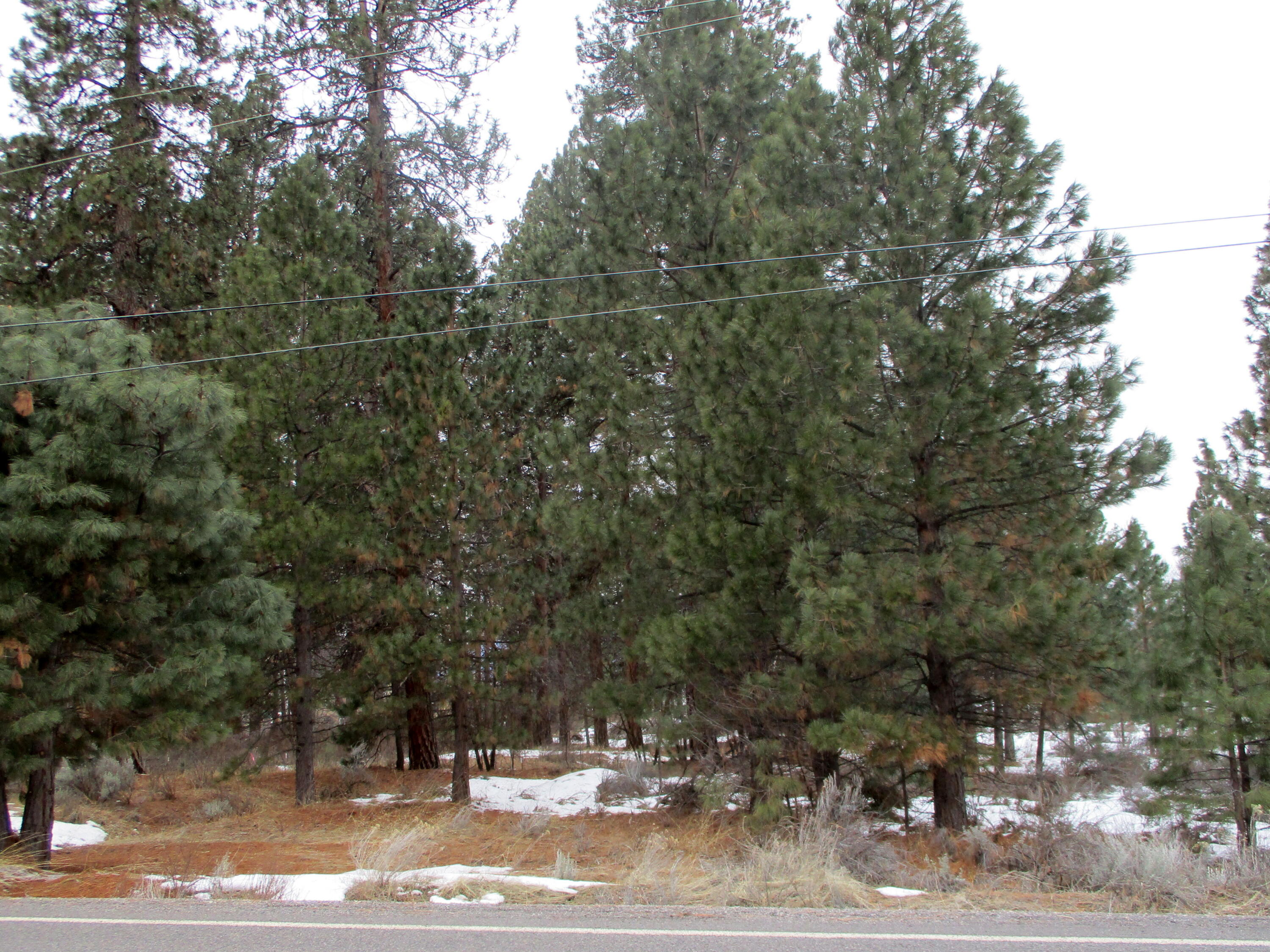 3525 Cayuse Way Chiloquin, OR 97624 - Photo 2 of 9 IMG_0177