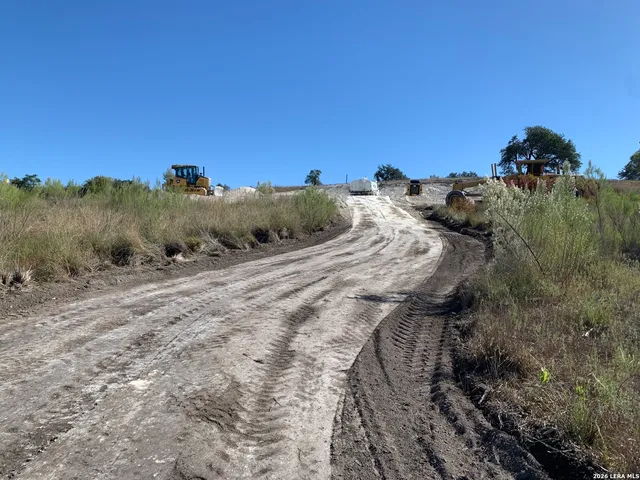 a view of a dry yard with trees