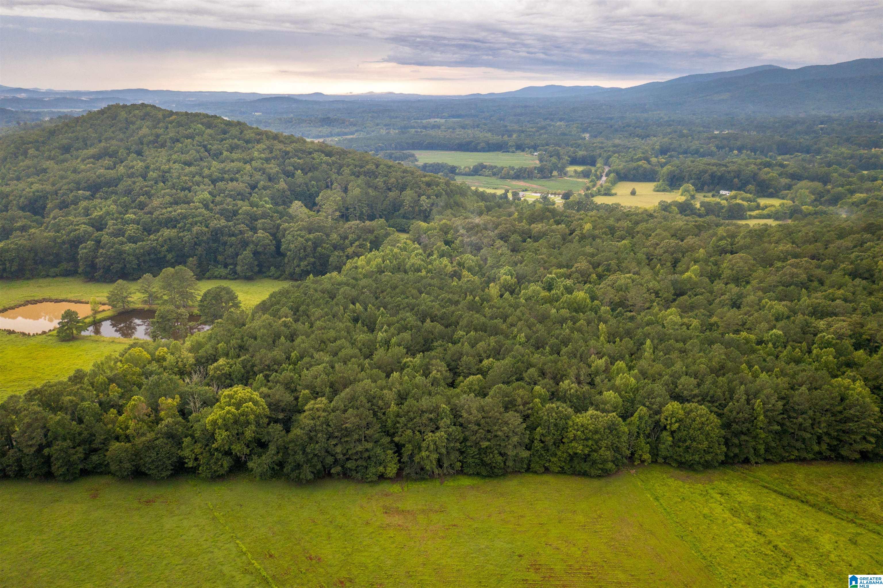0 Iron City Cutoff Road, Unit 4 Anniston, AL 36207 - Photo 10 of 19