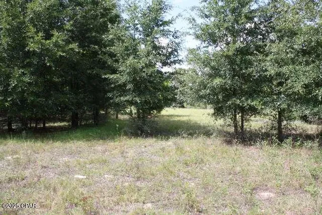 $275,000 | 90 Hwy Marianna Highway, Marianna, FL 32446