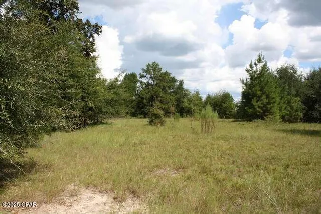 $275,000 | 90 Hwy Marianna Highway, Marianna, FL 32446