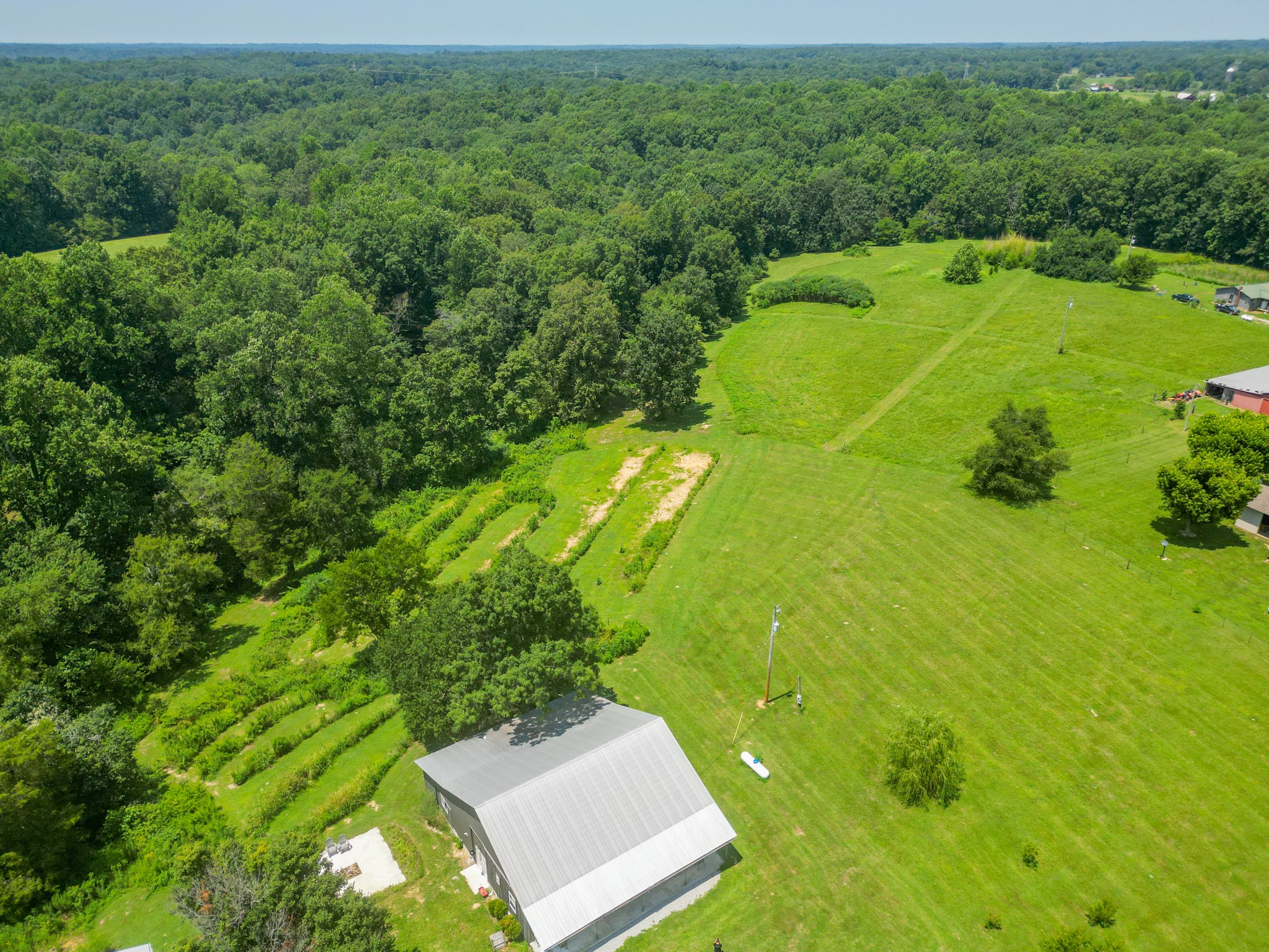 1201 Womble Ridge Road Ethridge, TN 38456 - Photo 3 of 31 Gallery Image 3