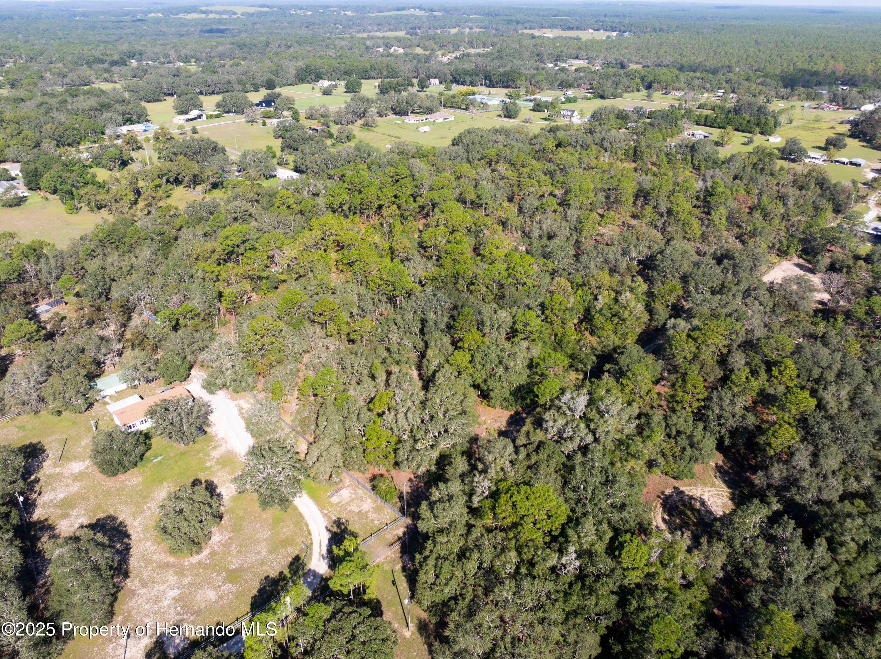 0 Cart Path Brooksville, FL 34602 - Photo 4 of 12