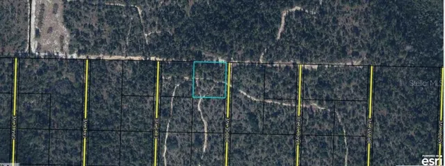 $80,000 | 20 Highway Youngstown, Youngstown, FL 32466