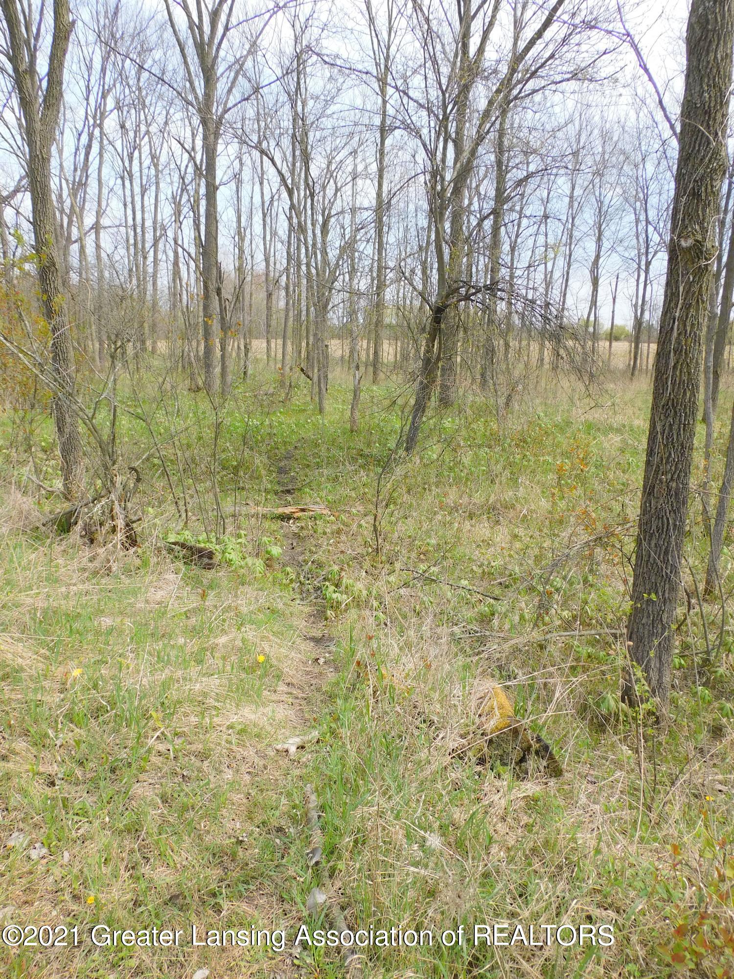0 Garrison Road Laingsburg, MI 48848 - Photo 18 of 31 Deer hwy