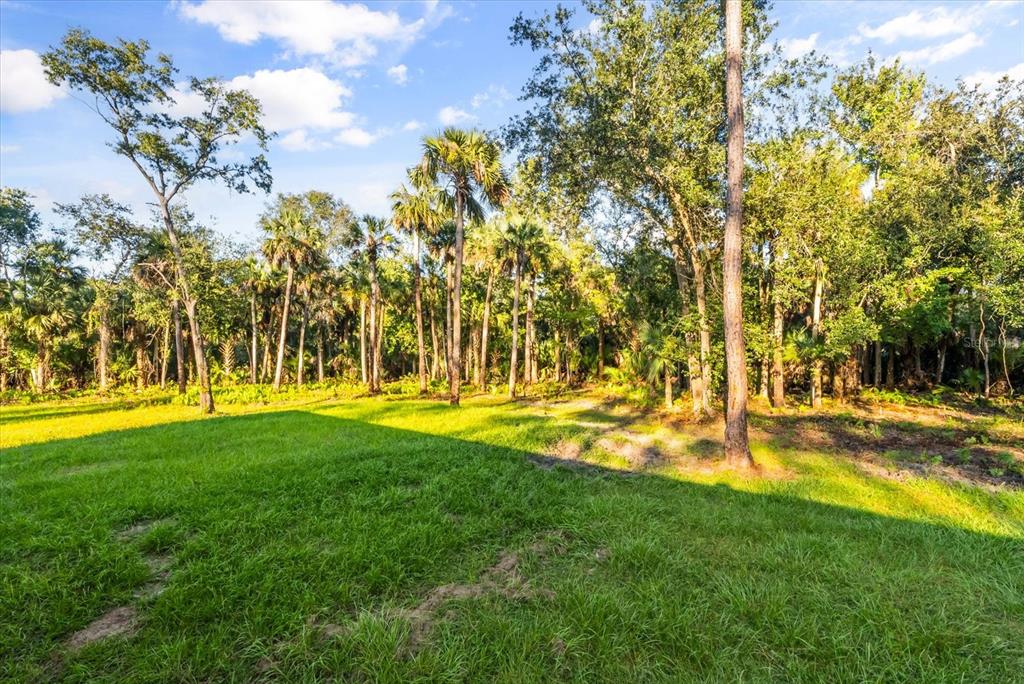 1785 Marsh Way Geneva, FL 32732 - Photo 11 of 40 a view of swimming pool