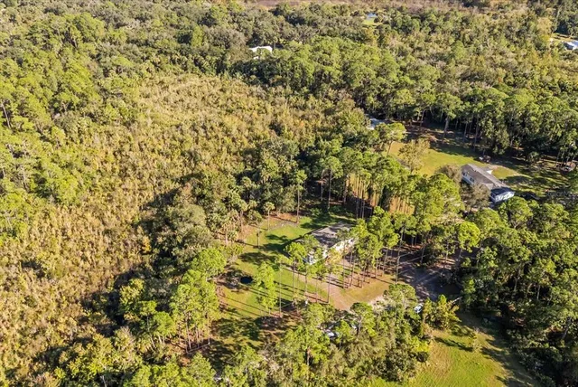 a view of a yard with a tree
