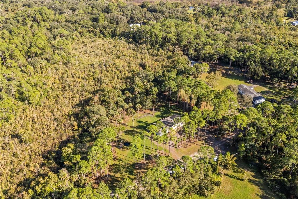 1785 Marsh Way Geneva, FL 32732 - Photo 12 of 40 a view of a yard with a tree