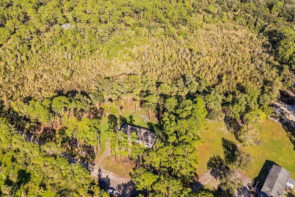 1785 Marsh Way Geneva, FL 32732 - Photo 14 of 40 a view of a yard with plants and wooden fence