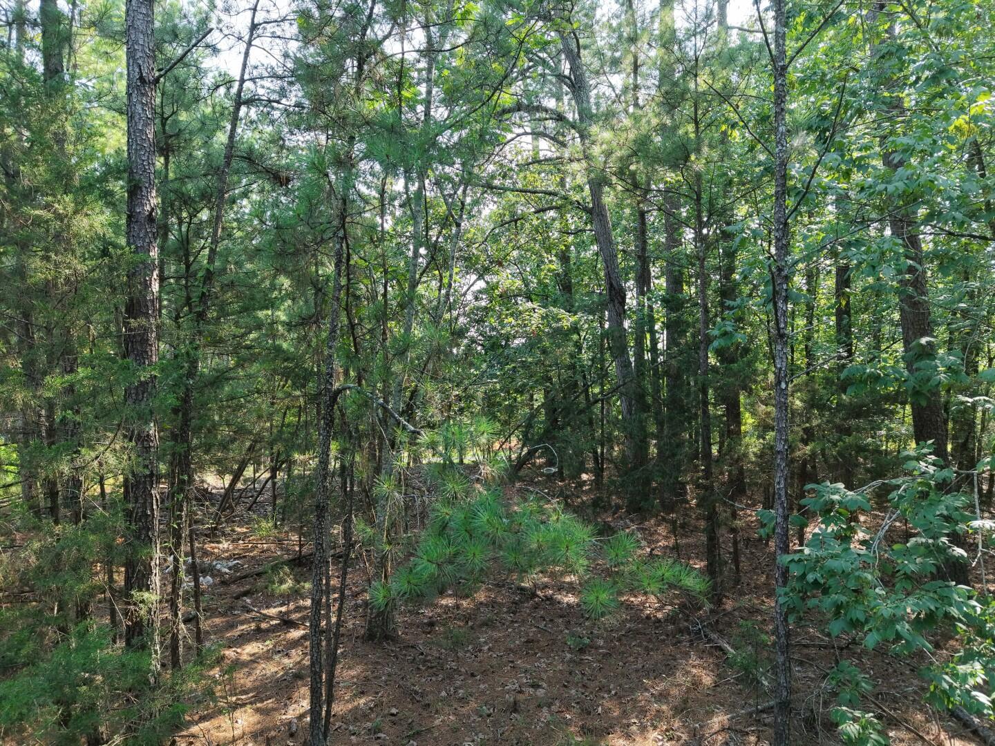 3096 State Rd S-20-33, Unit PARCEL 1 Blair, SC 29015 - Photo 9 of 32 DJI_20260811165236_0235_D (Large)