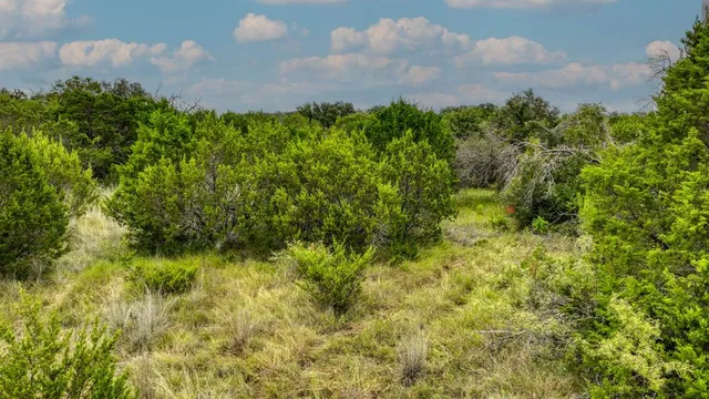 $285,000 | 9133 McArthur Court, Tolar, TX 76476