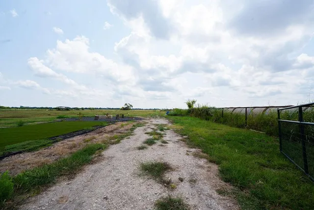 a view of a pathway with a yard