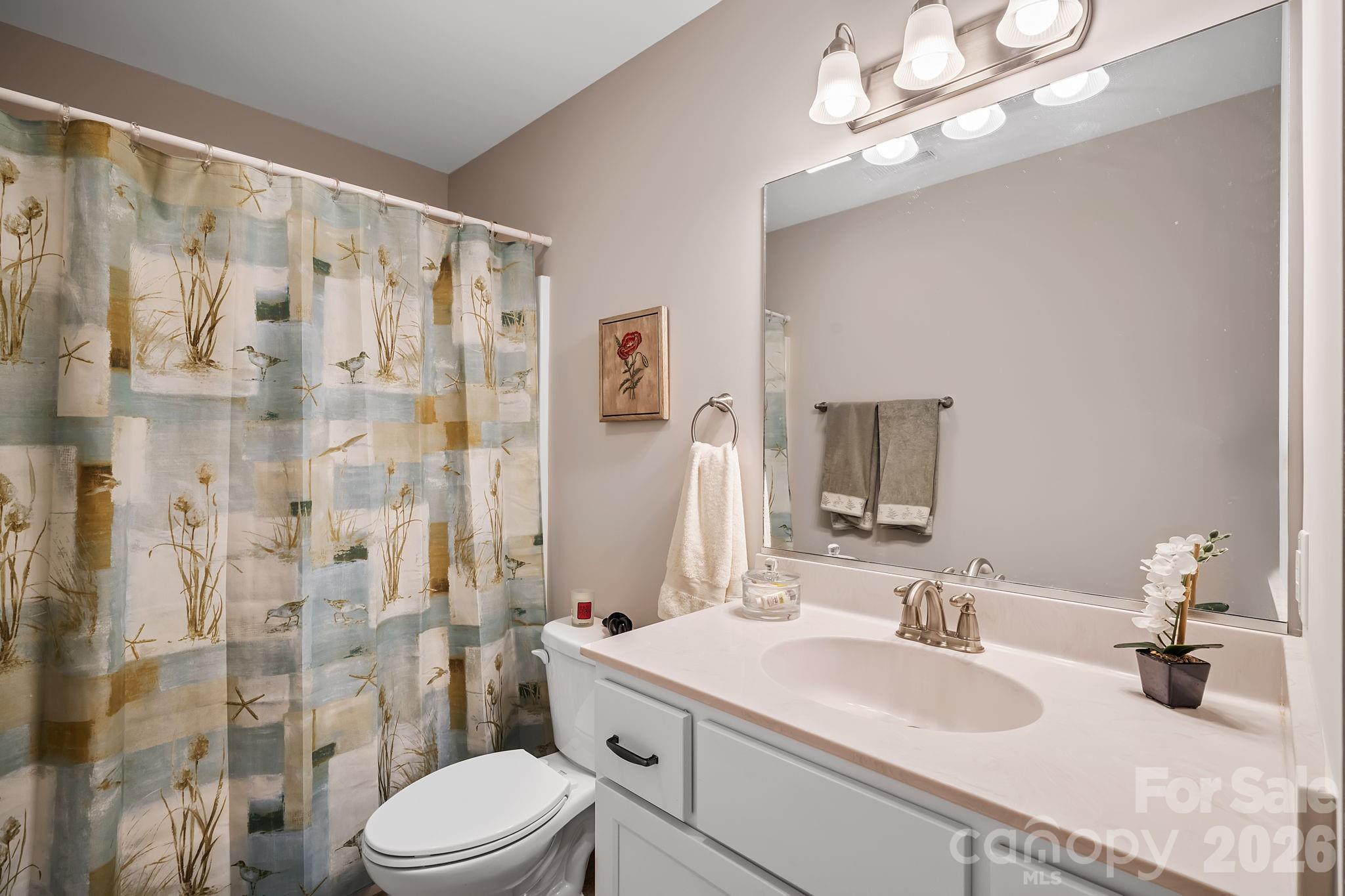57 Parrot Road Candler, NC 28715 - Photo 24 of 44 a bathroom with a sink a toilet and shower curtain