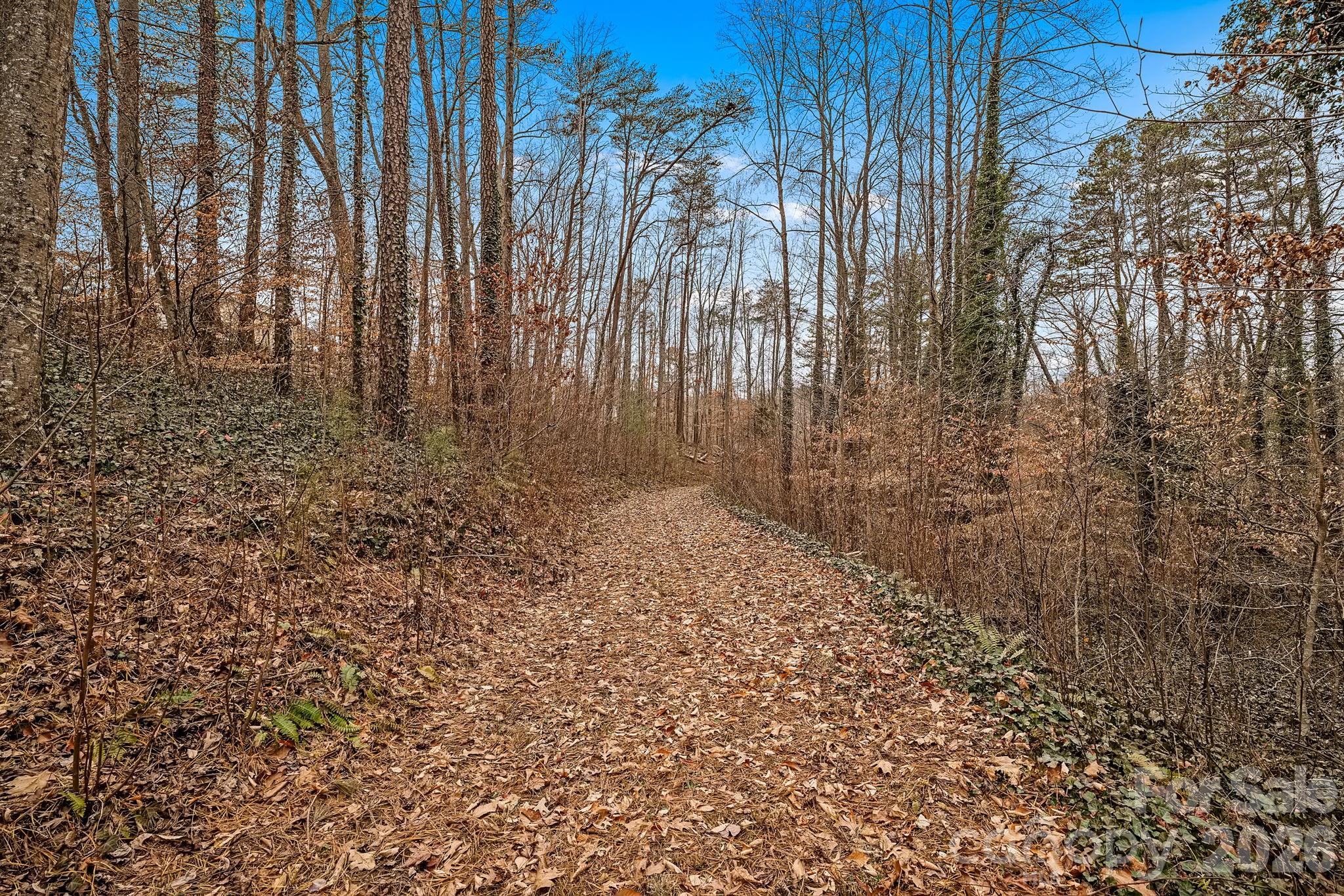 57 Parrot Road Candler, NC 28715 - Photo 42 of 44 a view of backyard with green space