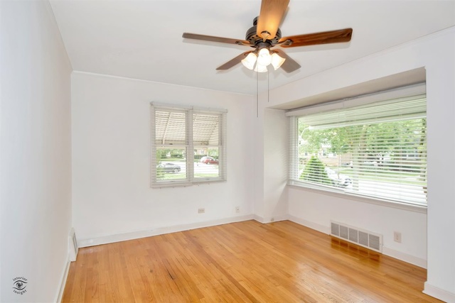 21207 Maple Street Matteson, IL 60443 - Photo 4 of 24