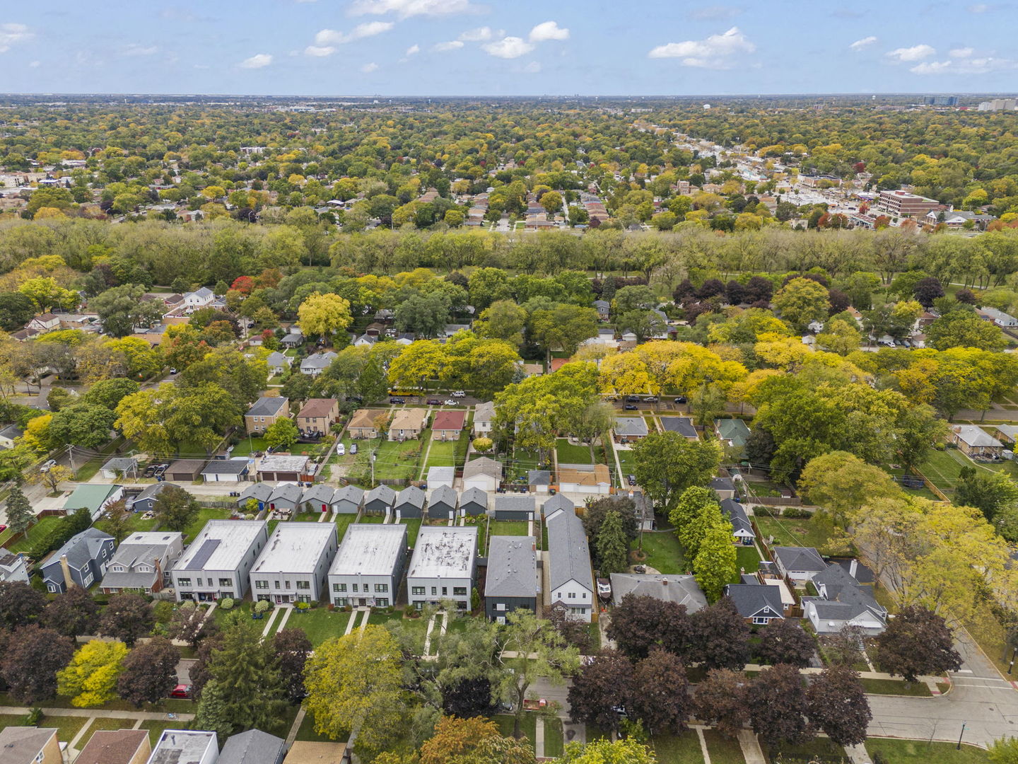 1126 Pitner Avenue Evanston, IL 60202 - Photo 40 of 48 a view of a city