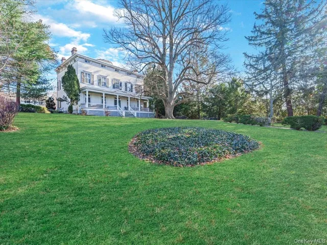 a view of a big yard with plants and large trees