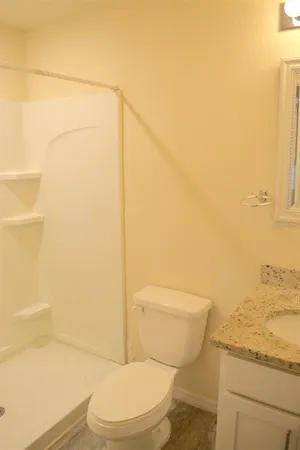 a white toilet sitting next to a shower curtain