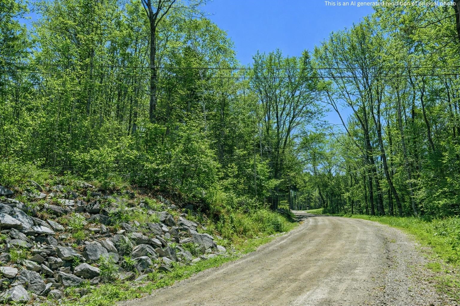 15w Johnson Vt 05656 Johnson, VT 05656 - Photo 4 of 9