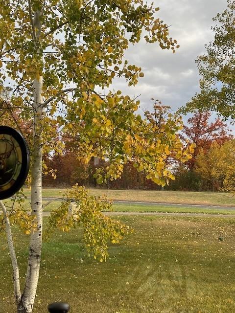 1337 Prairie Lane St. Croix Falls, WI 54024 - Photo 24 of 40