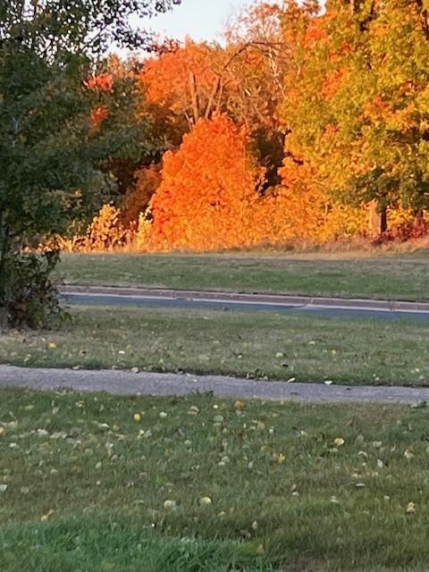 1337 Prairie Lane St. Croix Falls, WI 54024 - Photo 6 of 40