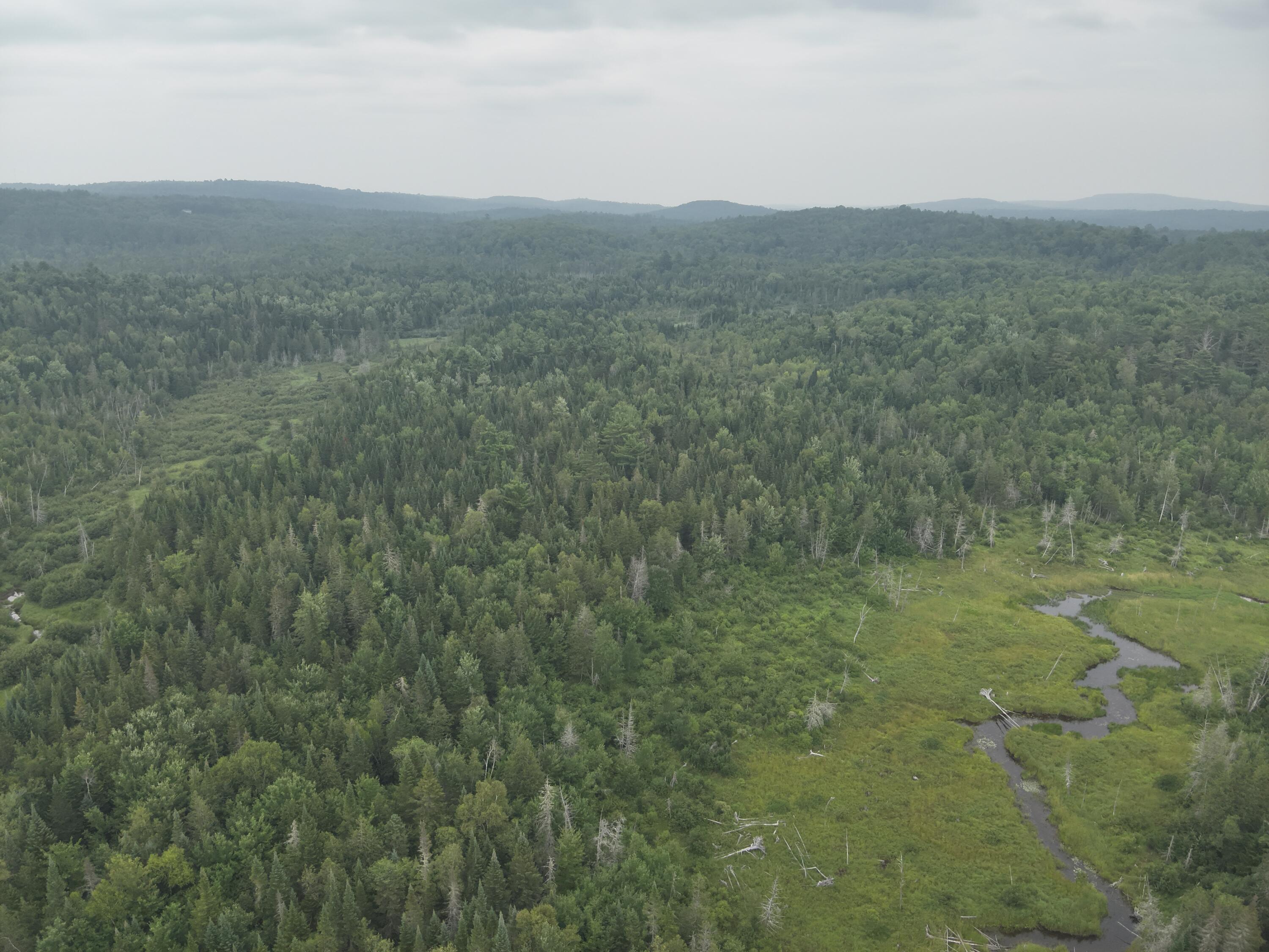 70 Back Road Abbot, ME 04406 - Photo 41 of 43 DJI_20250727150138_0010_V
