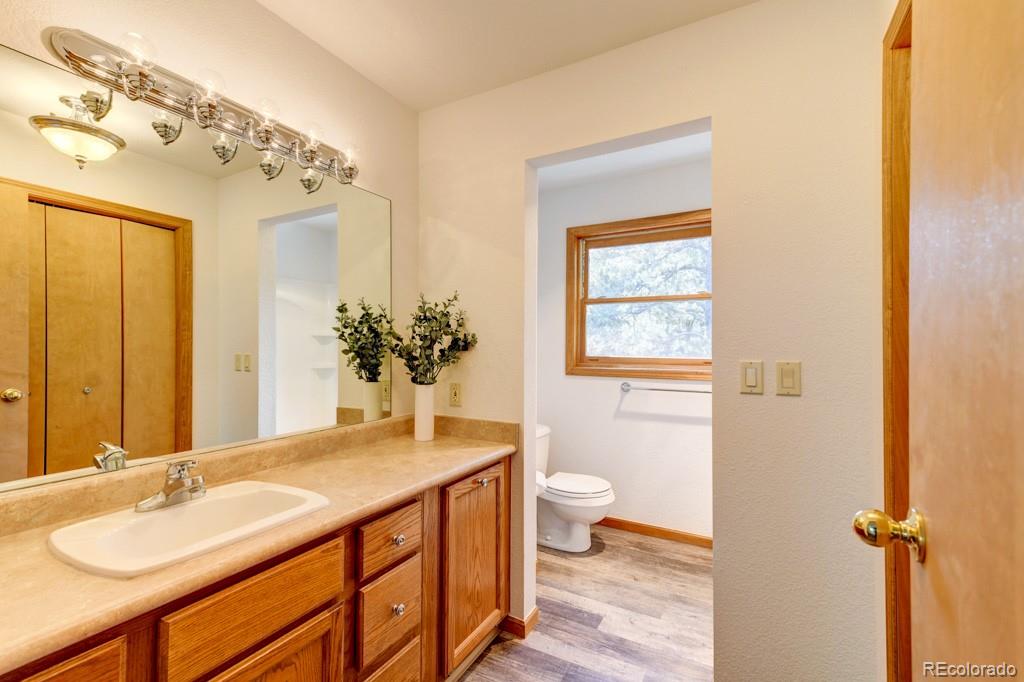 18673 North Elbert Road Elbert, CO 80106 - Photo 24 of 50 a bathroom with a granite countertop sink toilet and shower