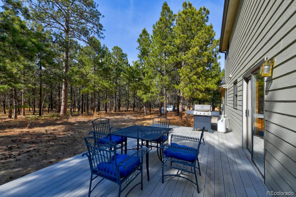 18673 North Elbert Road Elbert, CO 80106 - Photo 29 of 50