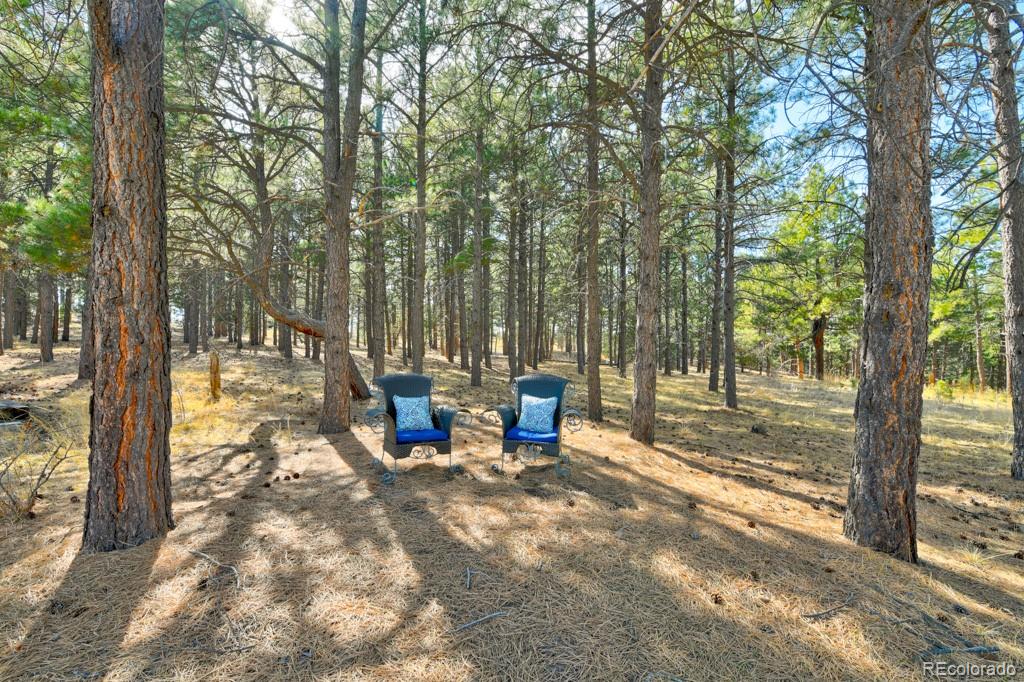 18673 North Elbert Road Elbert, CO 80106 - Photo 31 of 50 a view of a park with large trees and wooden fence