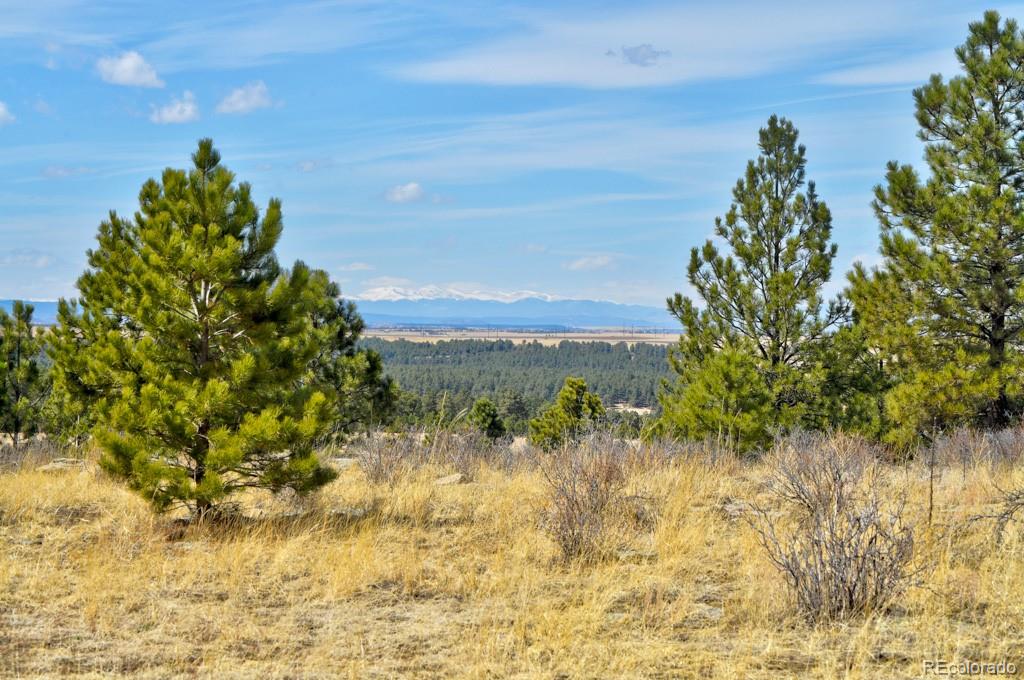 18673 North Elbert Road Elbert, CO 80106 - Photo 36 of 50
