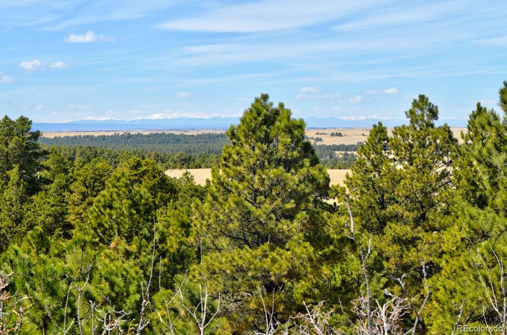 18673 North Elbert Road Elbert, CO 80106 - Photo 39 of 50