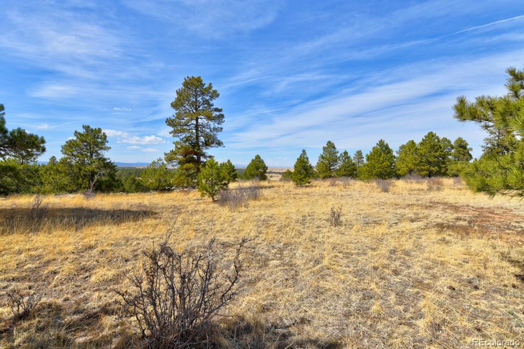 18673 North Elbert Road Elbert, CO 80106 - Photo 41 of 50