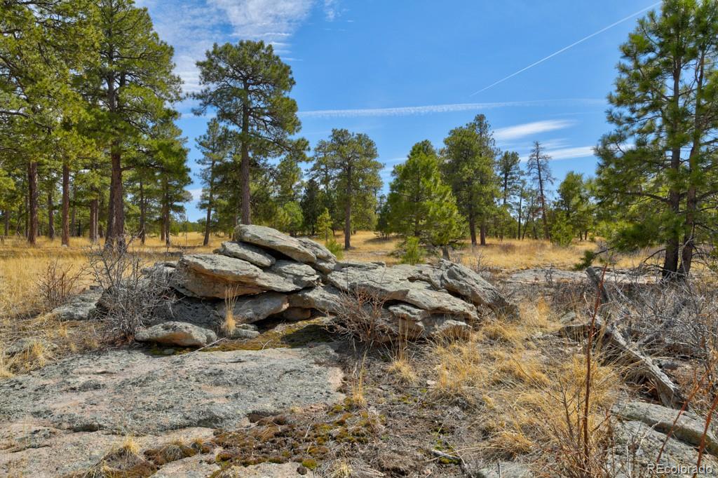 18673 North Elbert Road Elbert, CO 80106 - Photo 43 of 50