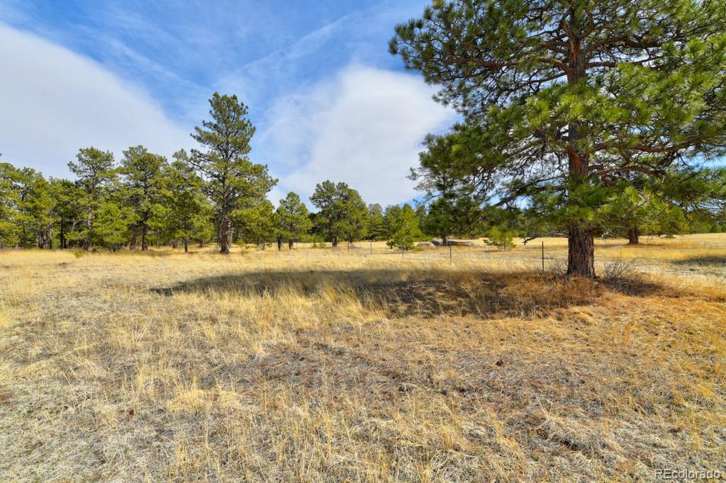 18673 North Elbert Road Elbert, CO 80106 - Photo 44 of 50