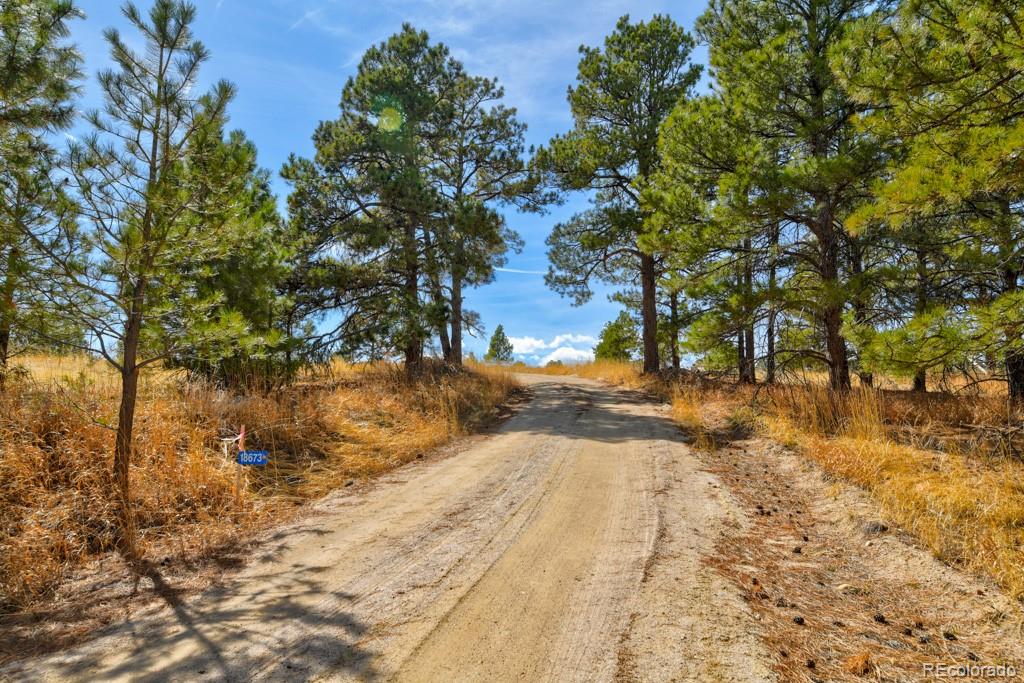 18673 North Elbert Road Elbert, CO 80106 - Photo 9 of 50