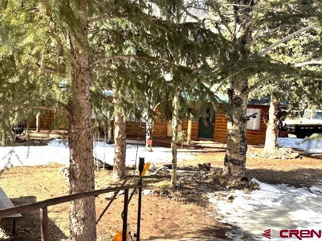 15 South Silver Street Rico, CO 81332 - Photo 6 of 15 a view of a yard with snow on the road